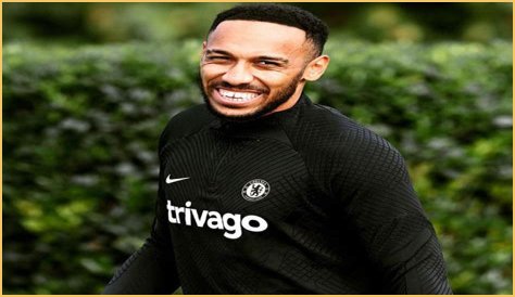 Curtys Aubameyang's Rise: From Shadows to Sporting Spotlight?